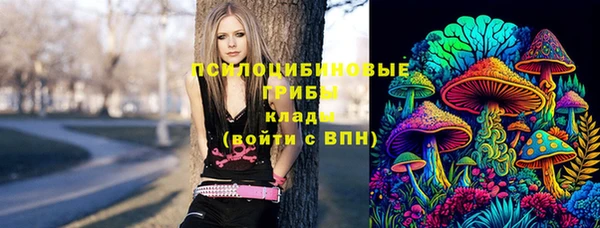а пвп мука Краснослободск